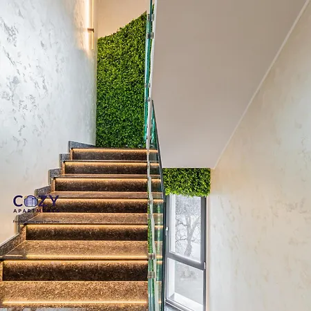 Cozy Luxury Collection - Premium 3*