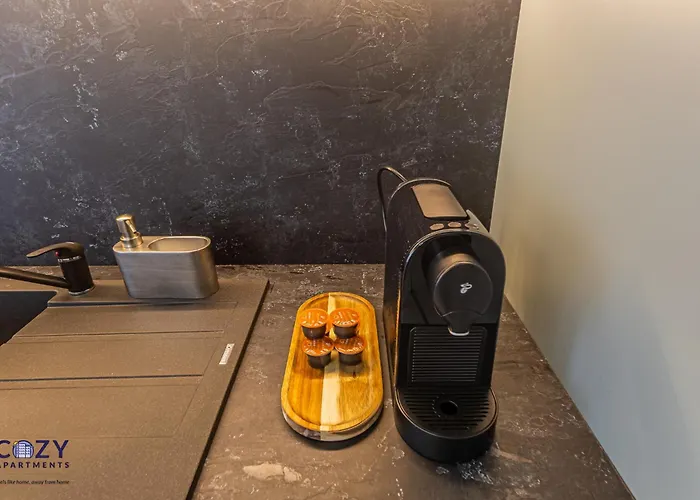 Luxury Collection - Premium 公寓 布拉索夫