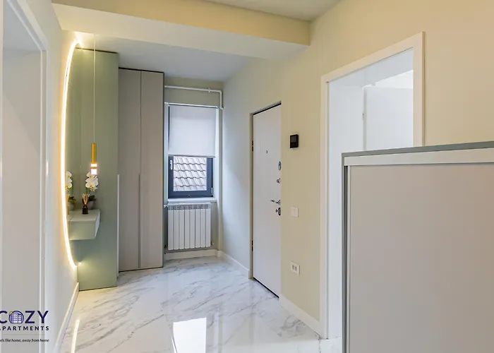 公寓 Luxury Collection - Premium 布拉索夫