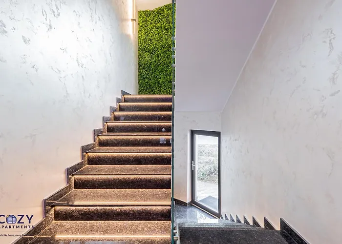 Luxury Collection - Premium 公寓 布拉索夫