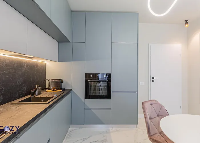 Luxury Collection - Premium 公寓 布拉索夫