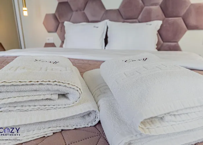 Luxury Collection - Premium 公寓 布拉索夫