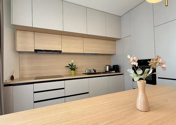 Luxury Collection - Premium 公寓 3*