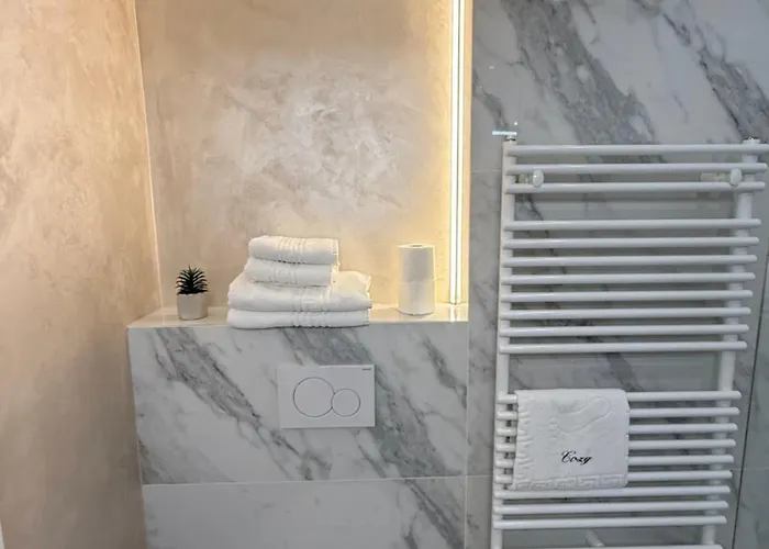 Luxury Collection - Premium 公寓 布拉索夫