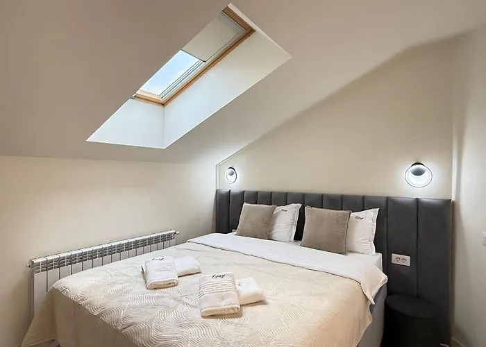 公寓 Luxury Collection - Premium 布拉索夫