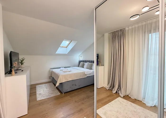 公寓 Luxury Collection - Premium 布拉索夫