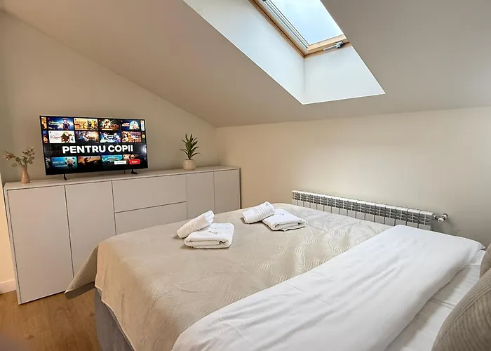 公寓 Luxury Collection - Premium 布拉索夫